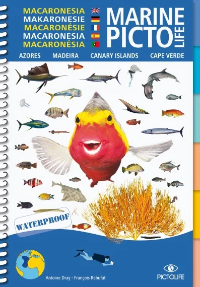 marine pictolife macaronesia - Libri e DVD