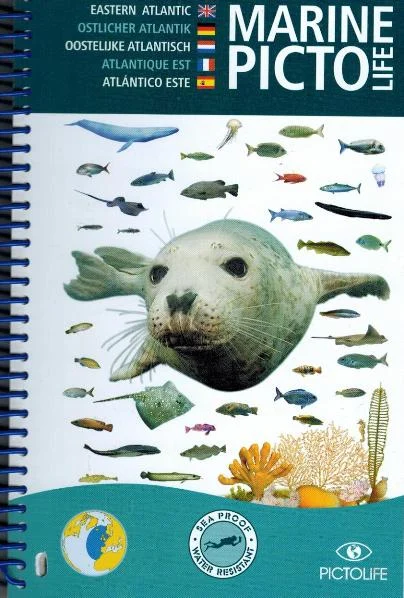 marine pictolife eastern atlantic - Libri e DVD
