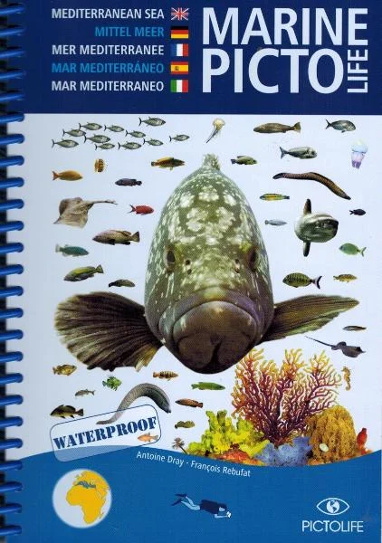 marine pictolife mar mediterraneo - Libri e DVD