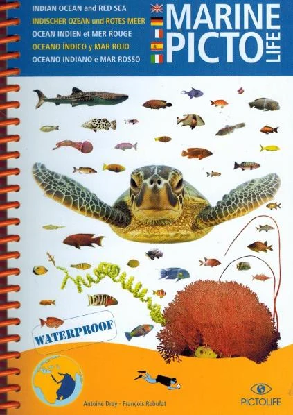 marine pictolife oceano indiano e mar rosso - Libri e DVD