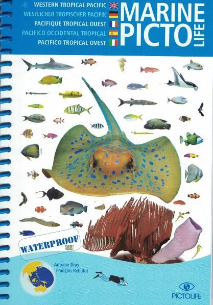 marine pictolife pacifico asiatico - Libri e DVD