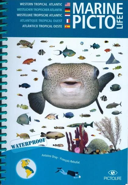 marine pictolife western tropical atlantic - Libri e DVD