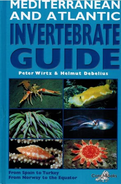 mediterranean and atlantic invertebrate guide - Libri e DVD