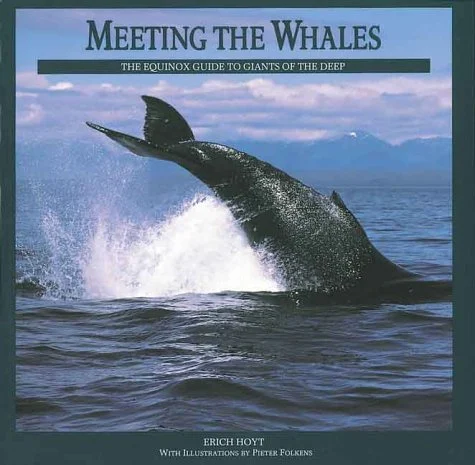 meeting the whales - Libri e DVD