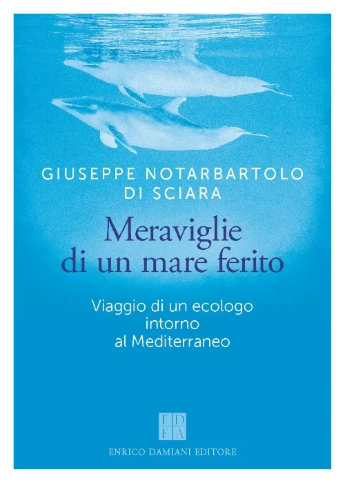 meraviglie di un mare ferito - Libri e DVD