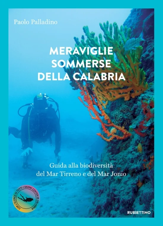 meraviglie sommerse della calabria - Libri e DVD