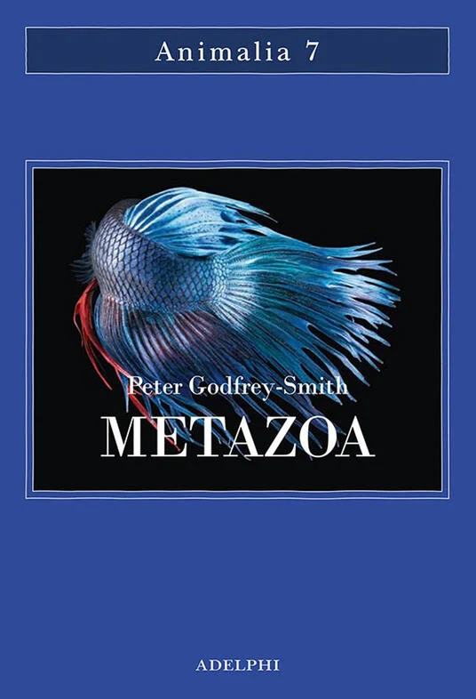 metazoa - Libri e DVD