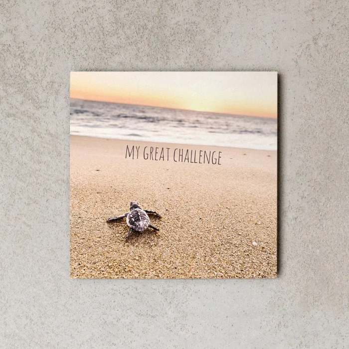 miniwall “my great challenge” - Arredamento marinaresco