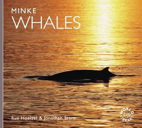 minke whales - Libri e DVD