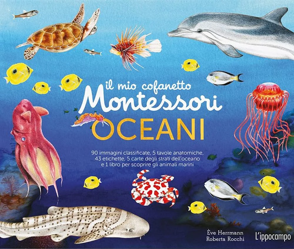 il mio cofanetto montessori degli oceani - Libri e DVD