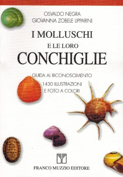 i molluschi e le loro conchiglie - Libri e DVD