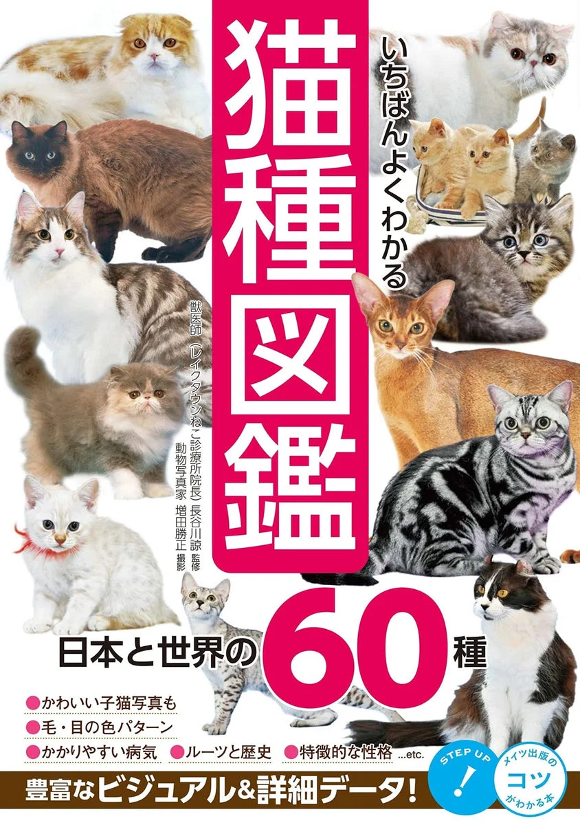 Most Understandable Cat Breed Guide Japan and World 60 Breeds Book - WAFUU JAPAN