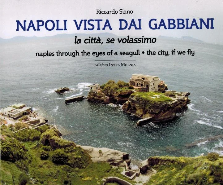 napoli vista dai gabbiani – naples through the eyes of a seagull - Libri e DVD
