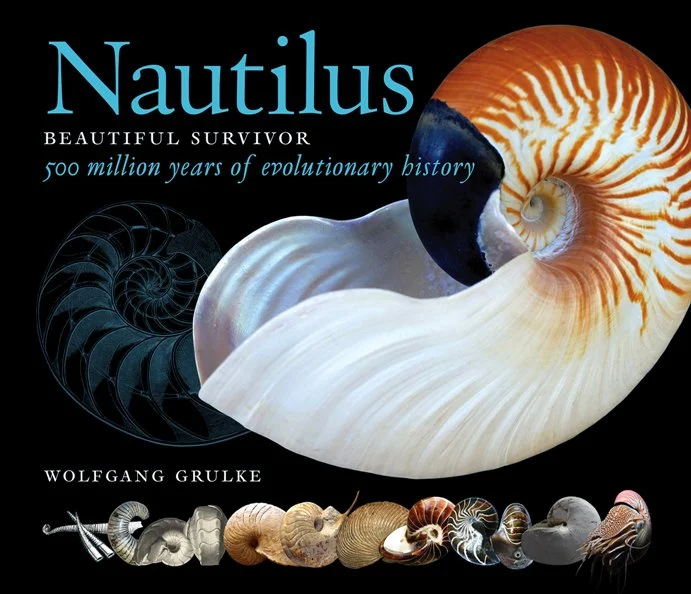 nautilus: beautiful survivor - Libri e DVD