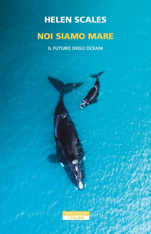 Noi siamo mare - Libri e DVD