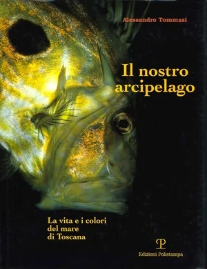 il nostro arcipelago - Libri e DVD