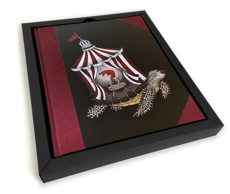 quaderno tartaruga (collezione searcus) - Prodotti vari