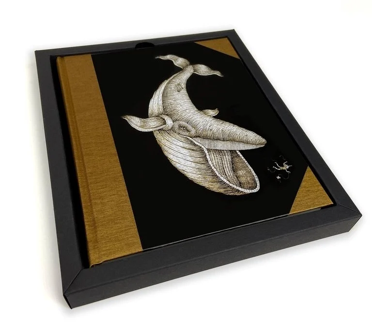 quaderno pinocchio (collezione whales) - Prodotti vari