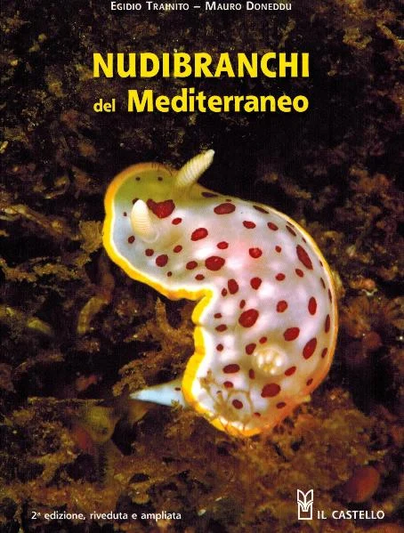 nudibranchi del mediterraneo - Libri e DVD