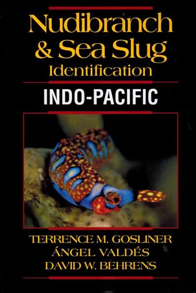 nudibranch & sea slug identification indo-pacific