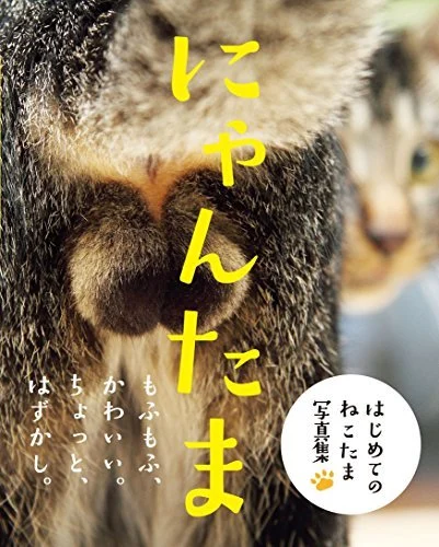 Nyantama Libro Illustrato Mewing Gatto 12345 Blu 30 Pagine - WAFUU JAPAN