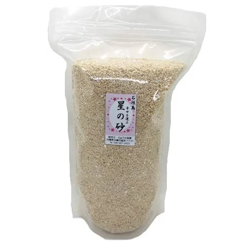 Okinawa Ishigaki Island Star Sand 1kg Natural Beach Sand for Crafts - WAFUU JAPAN