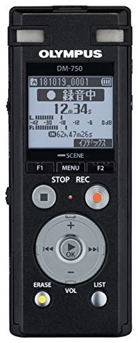 OLYMPUS Registratore Vocale VoiceTrek DM-750 Nero 4GB