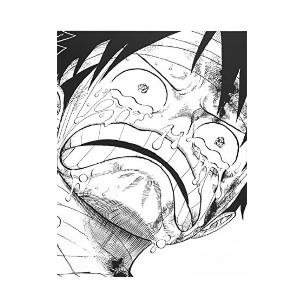 One Piece All Faces 3 Edizione da Collezione Fumetto Giapponese