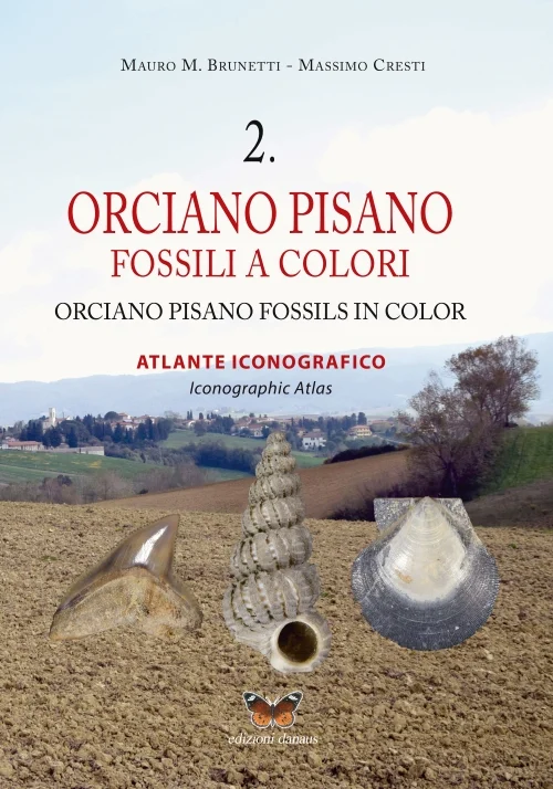 orciano pisano – fossili a colori 2 - Libri e DVD