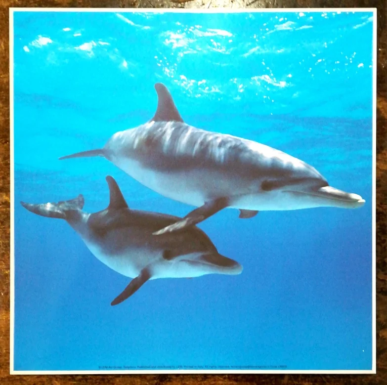 pannello “dolphins” - Arredamento marinaresco