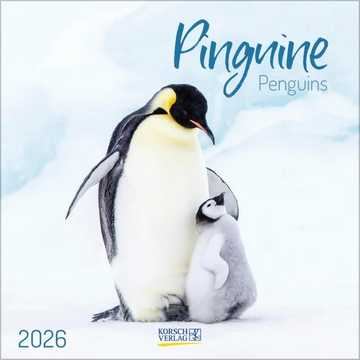 penguins 2026 - Prodotti vari