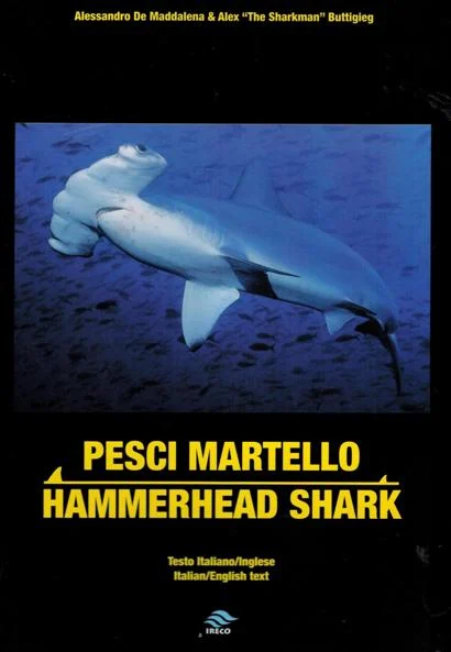 pesci martello – hammerhead shark - Libri e DVD