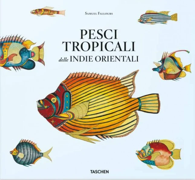 pesci tropicali delle indie orientali - Libri e DVD