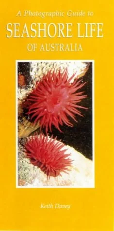 a photographic guide to seashore life of australia - Libri e DVD