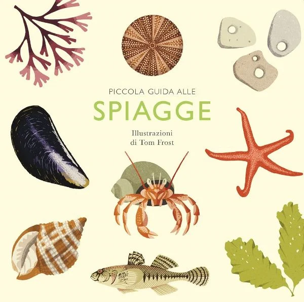 piccola guida alle spiagge - Libri e DVD