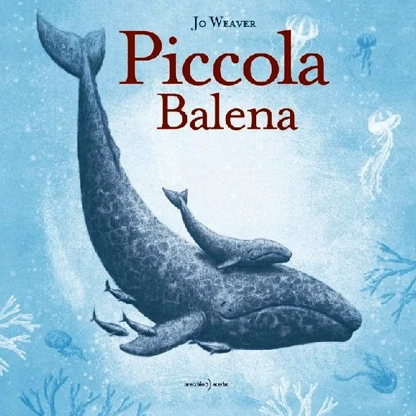 piccola balena - Libri e DVD