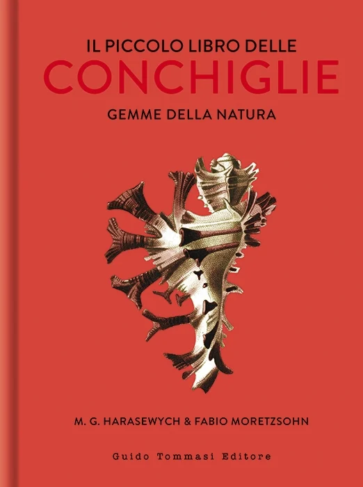 il piccolo libro delle conchiglie - Libri e DVD