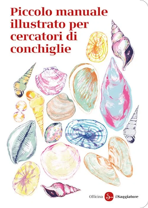 piccolo manuale illustrato per cercatori di conchiglie - Libri e DVD