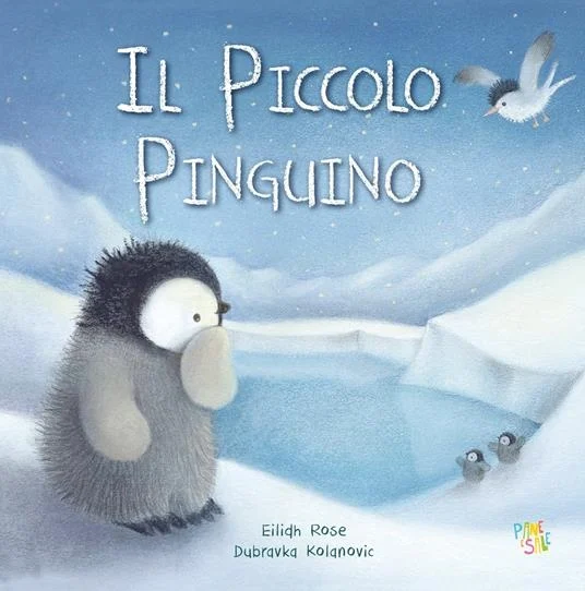 il piccolo pinguino - Libri e DVD