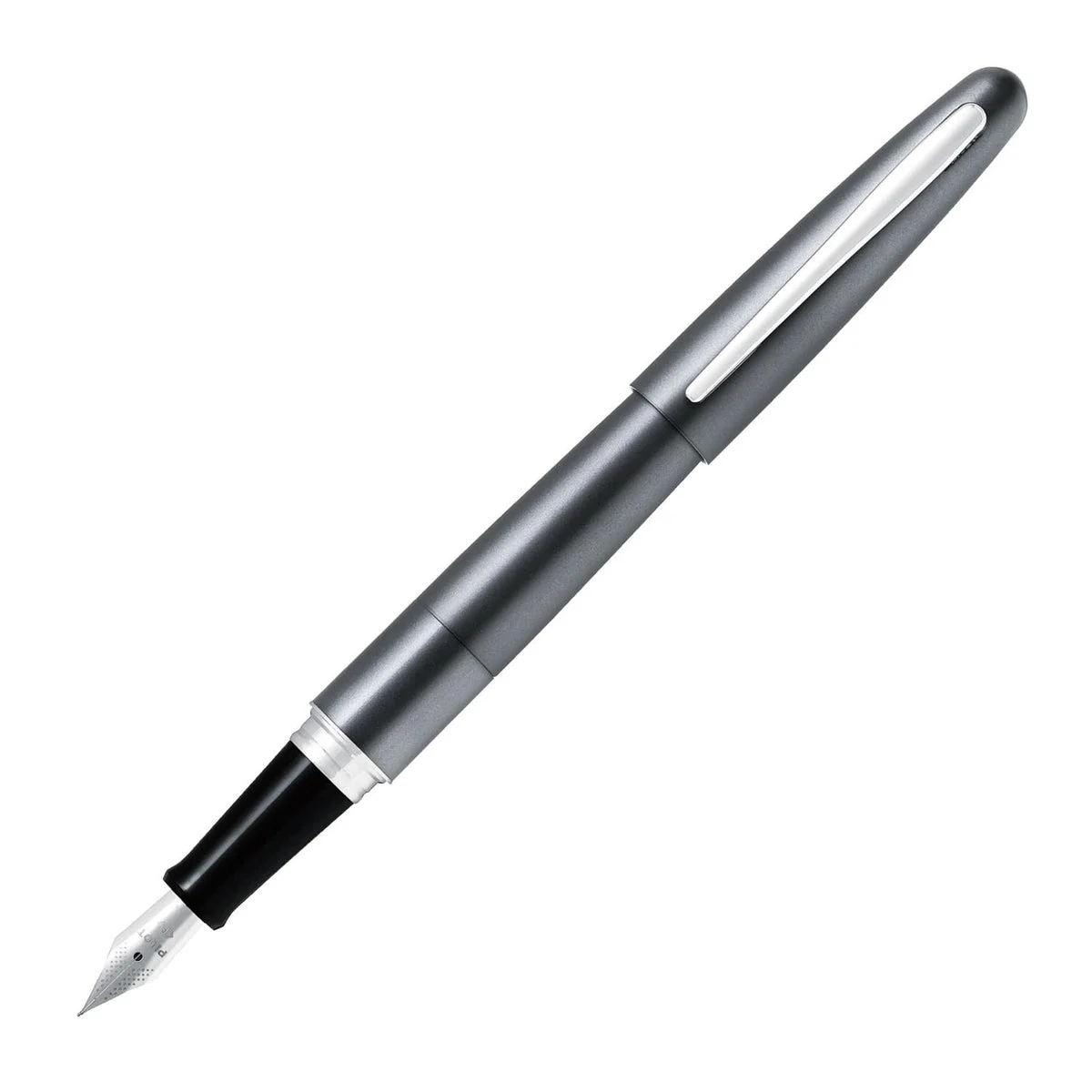 PILOT Cocoon Fountain Pen Fine Point Metallic Gray FCO-3SR-MGY-F