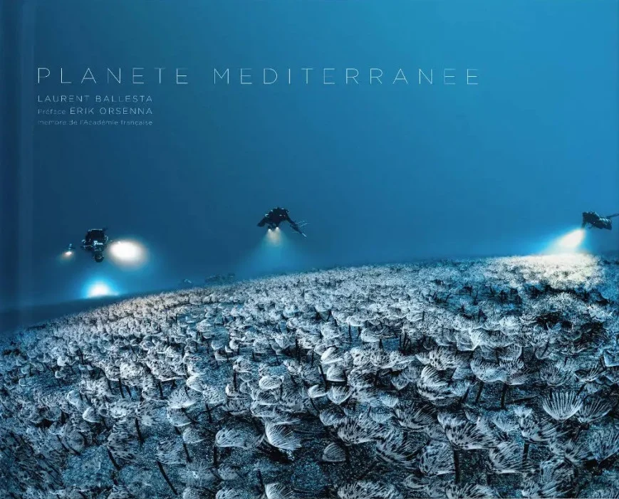 planete mediterranee - Libri e DVD