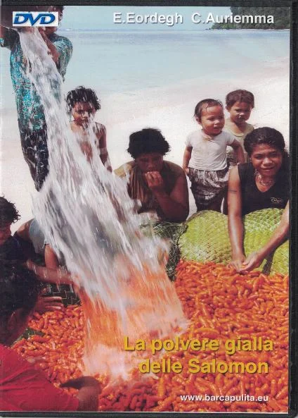 la polvere gialla delle salomon - Libri e DVD
