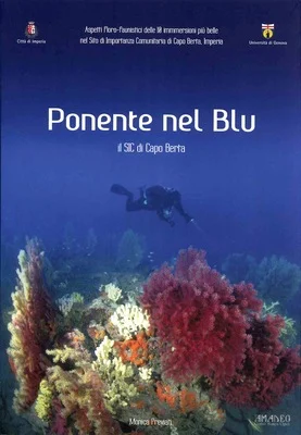 ponente nel blu - Libri e DVD