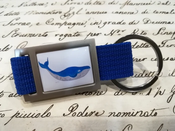 portachiavi zoodicarta – balena - Abbigliamento marinaresco