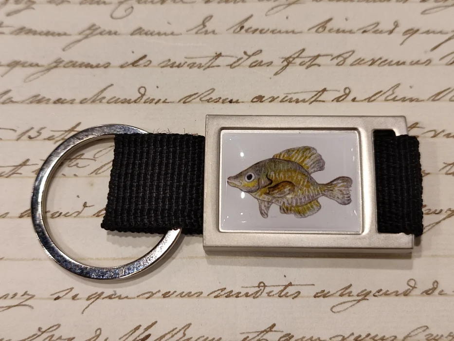 portachiavi zoodicarta – kelp bass - Abbigliamento marinaresco