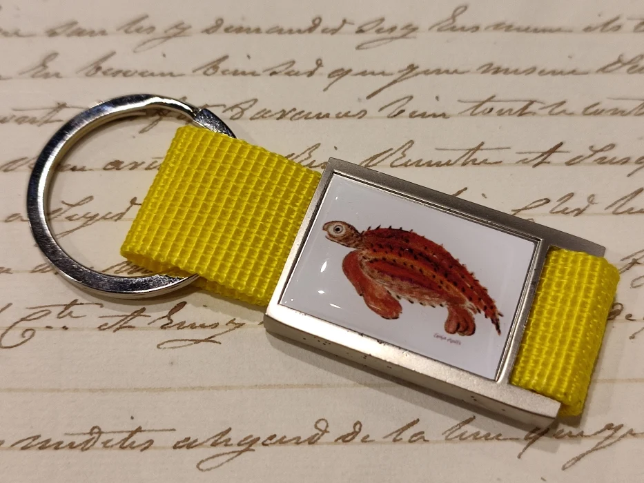 portachiavi zoodicarta – tartaruga liuto - Abbigliamento marinaresco