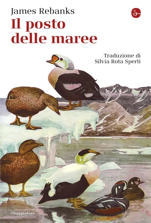 il posto delle maree - Libri e DVD