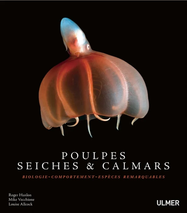 poulpes, seiches & calmars - Libri e DVD