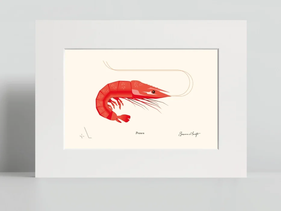 prawn – gambero - Arredamento marinaresco