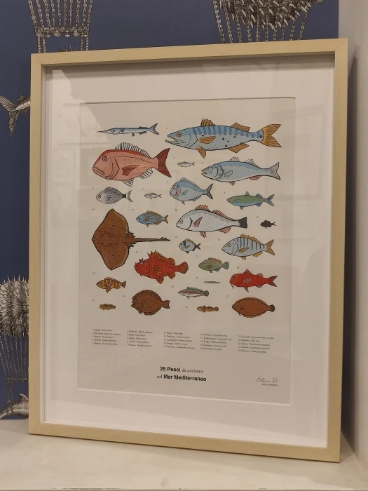 quadro “25 pesci da avvistare nel mediterraneo” - Arredamento marinaresco